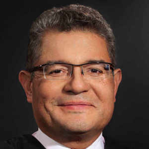 Judge Bernice B. Donald, ANTITRUST, APPELLATE, BANKING/LENDER LIABILITY, BANKRUPTCY/RESTRUCTURING, CIVIL RIGHTS, CLASS ACTION, COMMERCIAL DISPUTES, COMPLEX LITIGATION, CONSTRUCTION, CONTRACTS, CORPORATE INVESTIGATIONS/WHITE COLLAR, EMPLOYMENT, ENERGY, OIL, GAS & WATER, ENVIRONMENTAL/CERCLA, INSURANCE/REINSURANCE, INTELLECTUAL PROPERTY, INTERNATIONAL ARBITRATION, MARITIME, MASS TORTS, MDL, MONITORING, PATENT/SEP, PHARMACEUTICALS, PRODUCT LIABILITY, REAL ESTATE, SECURITIES/FINANCIAL SERVICES, SPECIAL MASTER, TELECOMMUNICATION, TRADE SECRET, TRADEMARK & COPYRIGHT